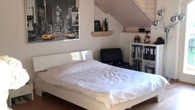 Magnificent southern-style detached villa with swimming pool